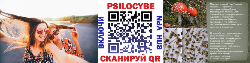 Псилоцибиновые грибы Cubensis Купить закладки Талица